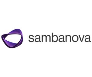 Samba Nova System Inc logo